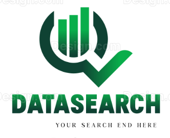 DataSearchWeb Logo